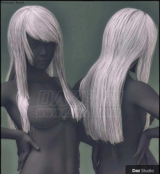 Minami HD and Minami Hair for Genesis 8 Female(s)-DAZ- 1737